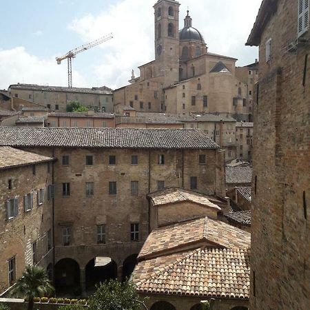 Hotel Via Barocci 34 Urbino Esterno foto